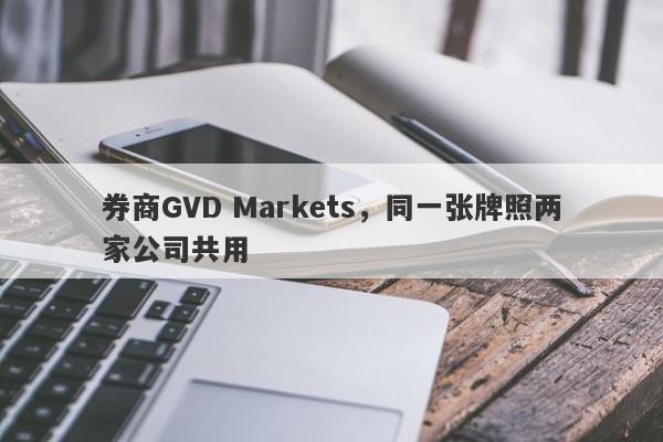 券商GVD Markets，同一张牌照两家公司共用