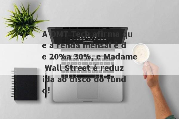 A DMT Tech afirma que a renda mensal é de 20%a 30%, e Madame Wall Street é reduzida ao disco do fundo!