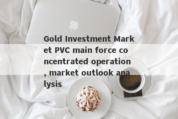 Gold Investment Market PVC main force concentrated operation, market outlook analysis