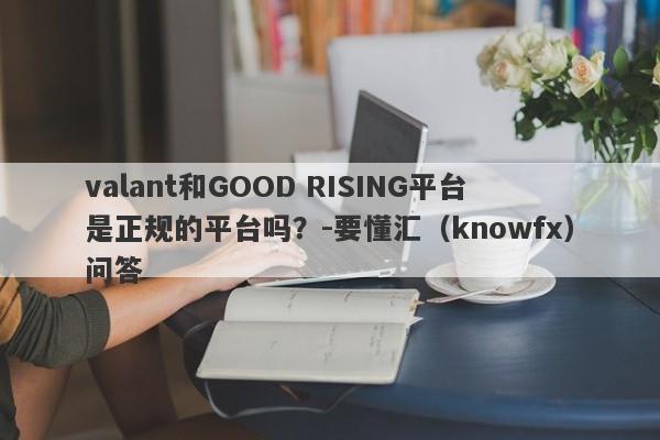 valant和GOOD RISING平台是正规的平台吗？-要懂汇（knowfx）问答