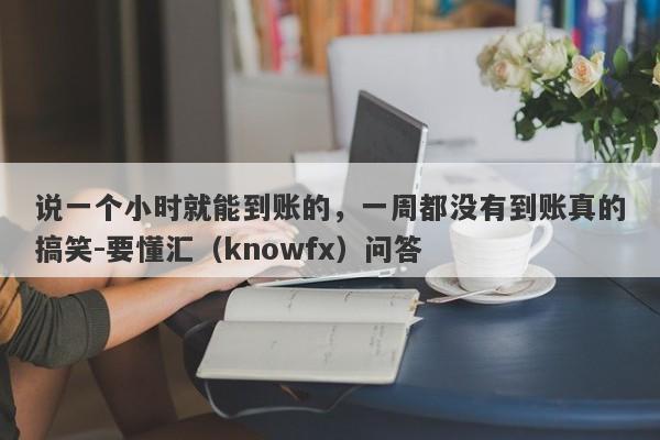 说一个小时就能到账的，一周都没有到账真的搞笑-要懂汇（knowfx）问答