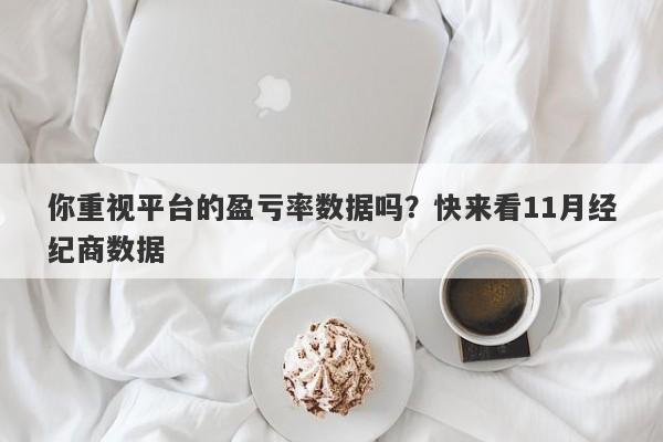 你重视平台的盈亏率数据吗？快来看11月经纪商数据