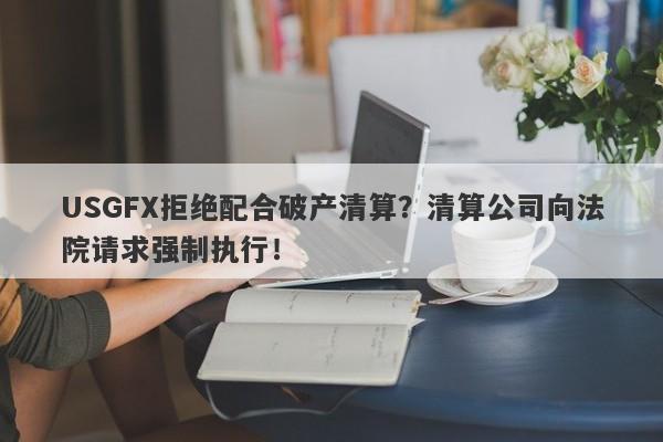 USGFX拒绝配合破产清算？清算公司向法院请求强制执行！