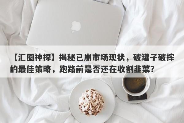 【汇圈神探】揭秘已崩市场现状，破罐子破摔的最佳策略，跑路前是否还在收割韭菜？