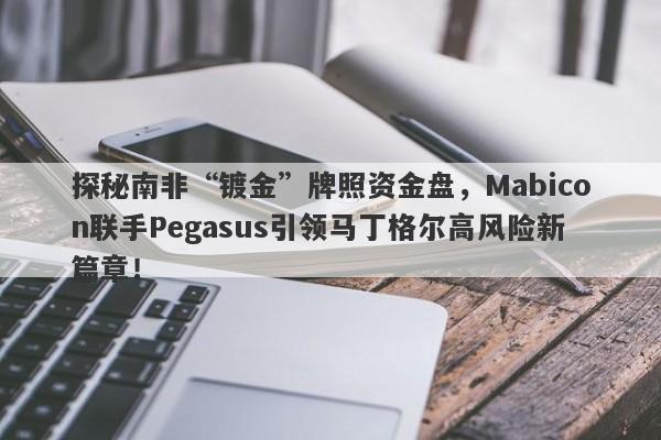 探秘南非“镀金”牌照资金盘，Mabicon联手Pegasus引领马丁格尔高风险新篇章！