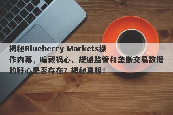 揭秘Blueberry Markets操作内幕，暗藏祸心、规避监管和垄断交易数据的野心是否存在？揭秘真相！