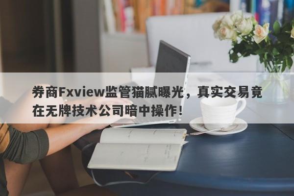 券商Fxview监管猫腻曝光，真实交易竟在无牌技术公司暗中操作！