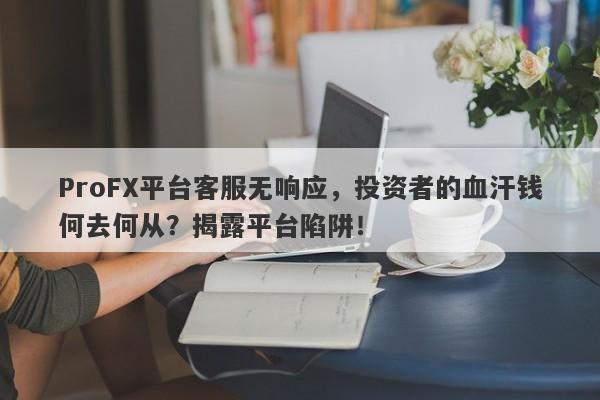 ProFX平台客服无响应，投资者的血汗钱何去何从？揭露平台陷阱！