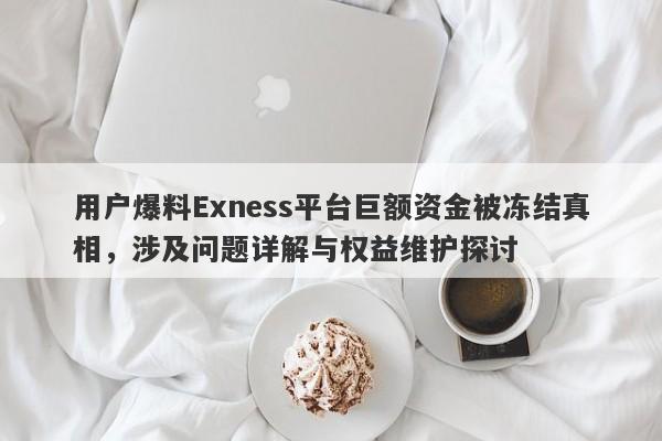 用户爆料Exness平台巨额资金被冻结真相，涉及问题详解与权益维护探讨