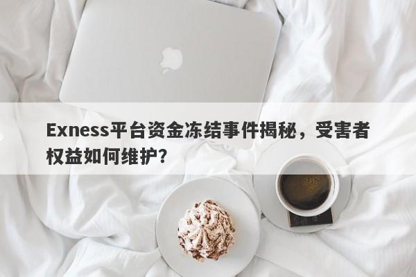 Exness平台资金冻结事件揭秘，受害者权益如何维护？