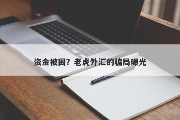 资金被困？老虎外汇的骗局曝光