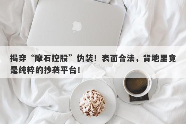 揭穿“摩石控股”伪装！表面合法，背地里竟是纯粹的抄袭平台！