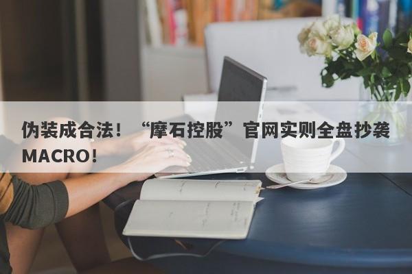 伪装成合法！“摩石控股”官网实则全盘抄袭MACRO！