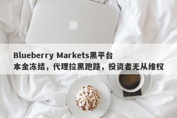 Blueberry Markets黑平台本金冻结，代理拉黑跑路，投资者无从维权