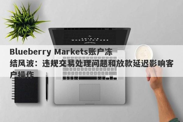 Blueberry Markets账户冻结风波：违规交易处理问题和放款延迟影响客户操作