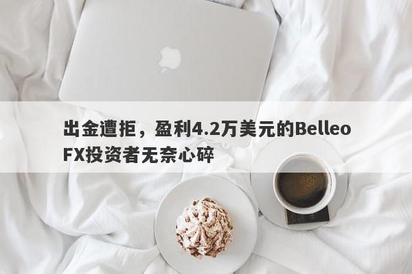 出金遭拒，盈利4.2万美元的BelleoFX投资者无奈心碎