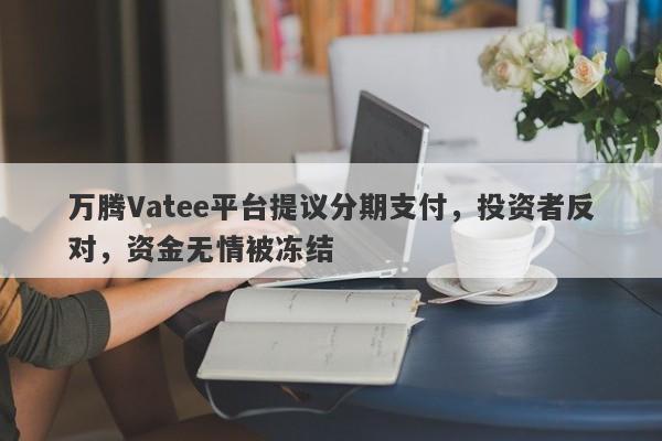 万腾Vatee平台提议分期支付，投资者反对，资金无情被冻结