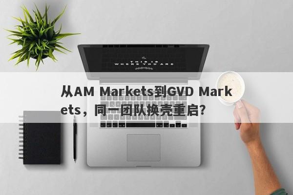 从AM Markets到GVD Markets，同一团队换壳重启？