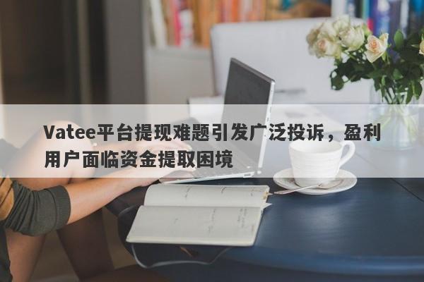 Vatee平台提现难题引发广泛投诉，盈利用户面临资金提取困境