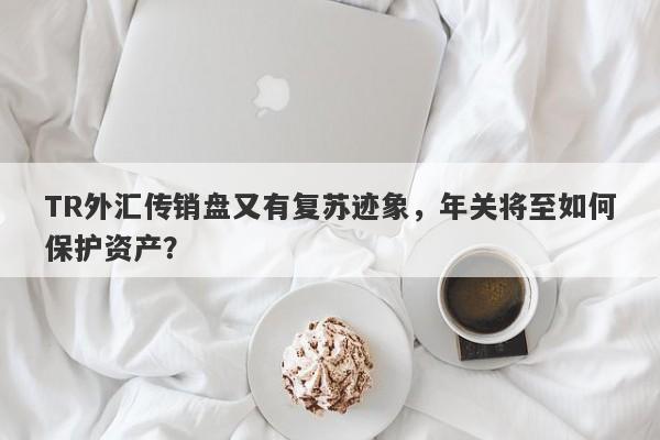 TR外汇传销盘又有复苏迹象，年关将至如何保护资产？