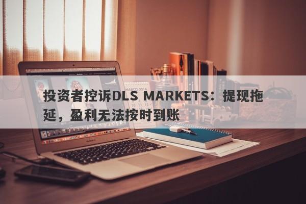 投资者控诉DLS MARKETS：提现拖延，盈利无法按时到账