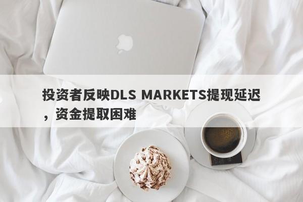 投资者反映DLS MARKETS提现延迟，资金提取困难