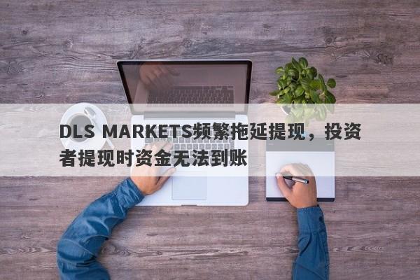 DLS MARKETS频繁拖延提现，投资者提现时资金无法到账