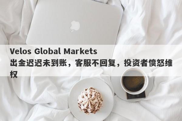 Velos Global Markets出金迟迟未到账，客服不回复，投资者愤怒维权